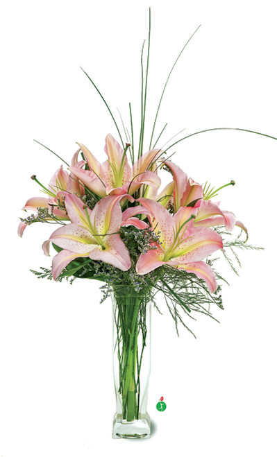 Stunning Lilies Stunning Lilies