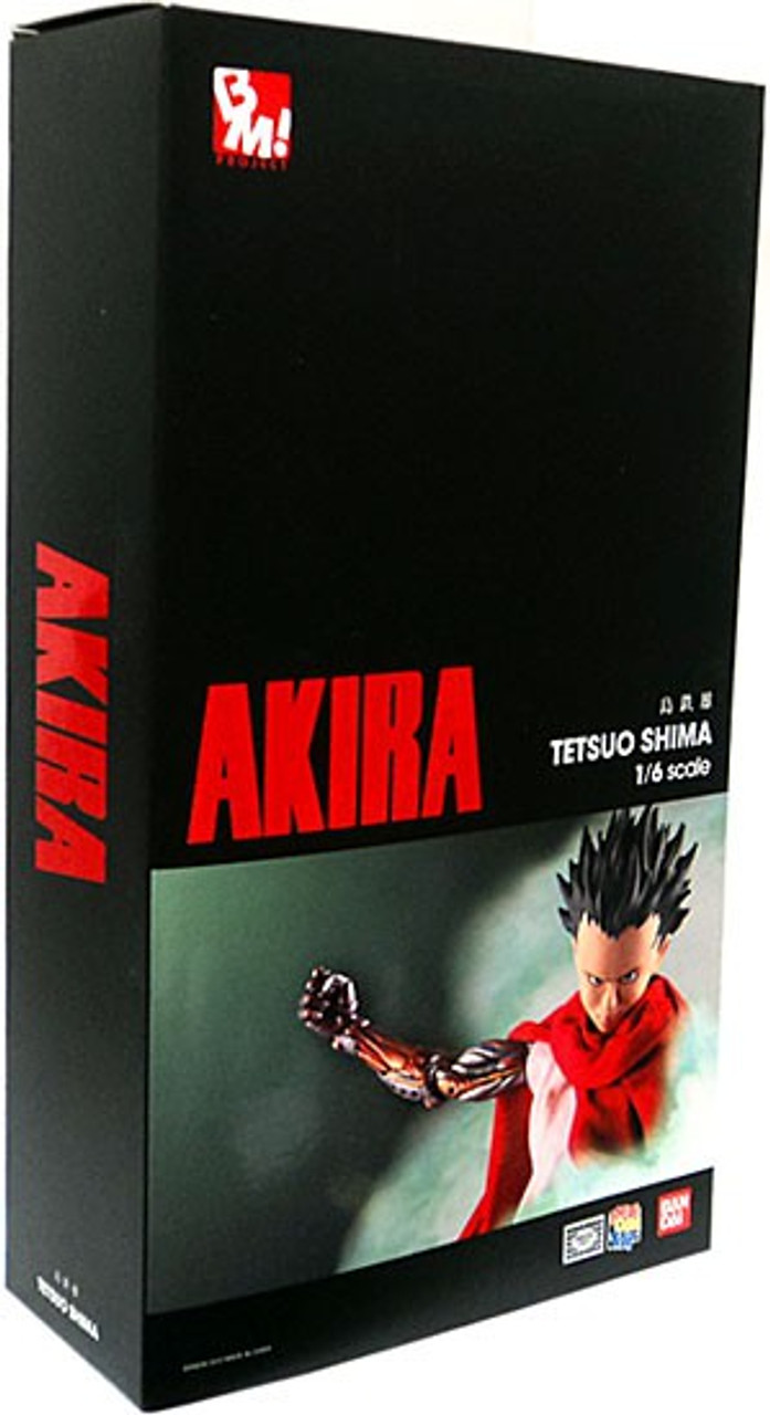 Akira Real Action Heroes Tetsuo Shima Action Figure