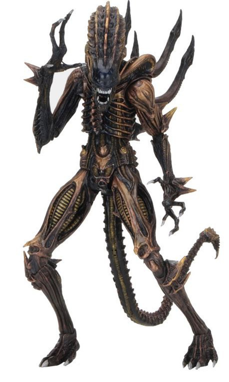 neca aliens series 13 scorpion alien 9 action figure toywiz