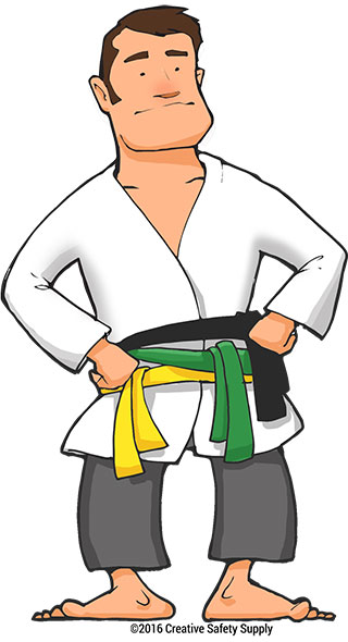Six Sigma Program Six Sigma Belts