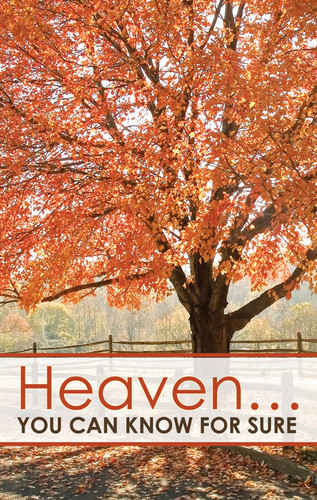 Heaven You Can Know For Sure Orange Tree