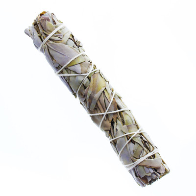 White Sage 5-6" Bundle, 1-Pack