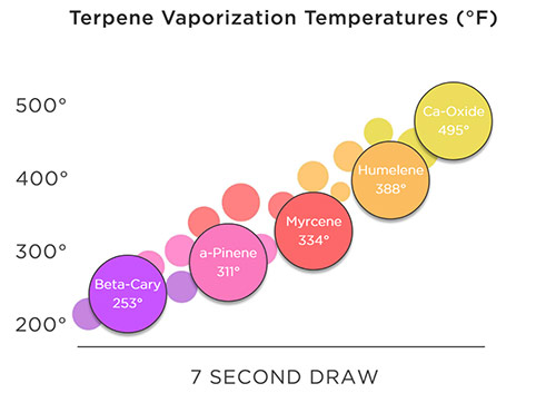 terpene-vape-temp.jpg