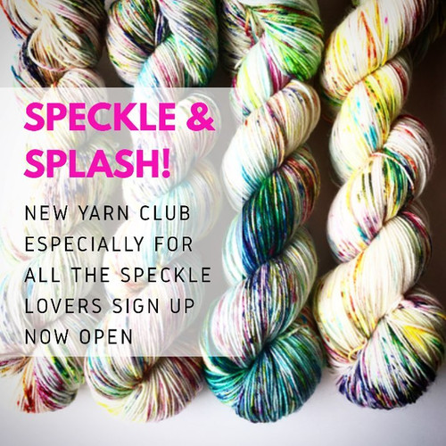 Speckle 'n' Splash Yarn club