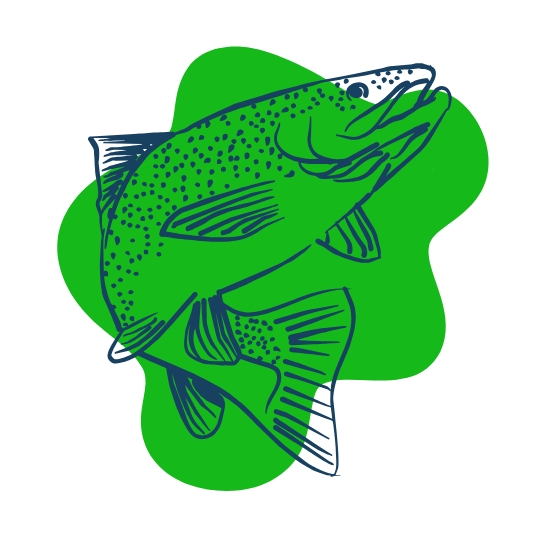 Aquatic Collection