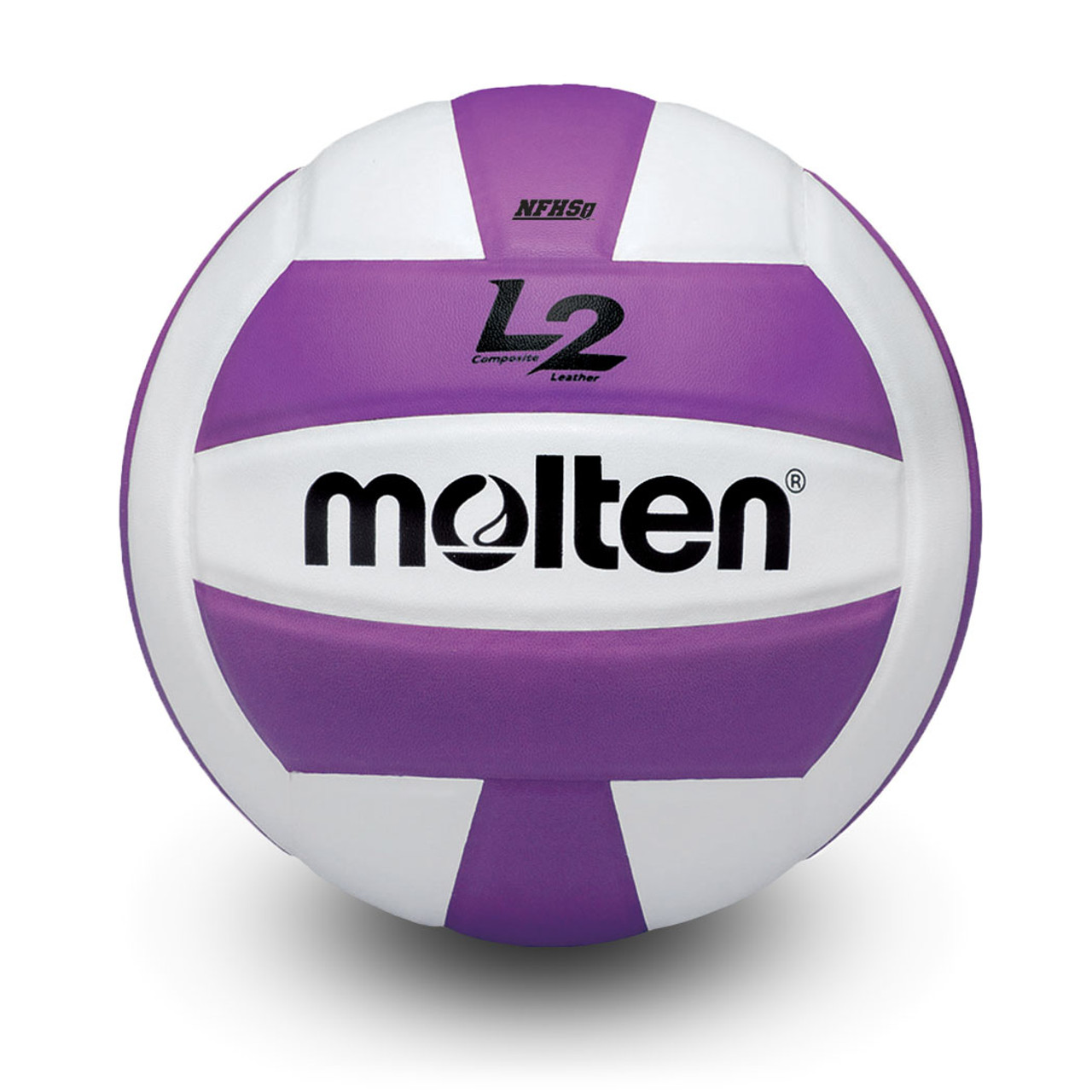 L2 Volleyball Purple Volleyball Molten USA