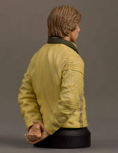 Luke Skywalker Hero Of Yavin