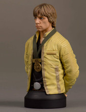 Luke Skywalker Hero Of Yavin