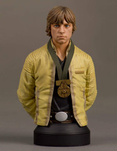 Luke Skywalker Hero Of Yavin