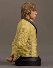 Luke Skywalker Hero Of Yavin