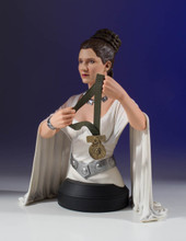 Leia Hero Of Yavin Mini-Bust
