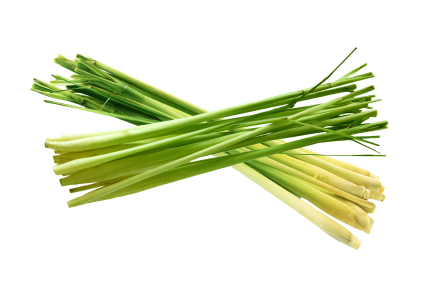 lemongrass.jpg