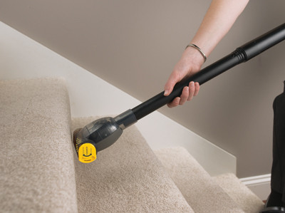 Buy Eureka 3684F Pet Lovers Vacuum Cleaner from Canada at