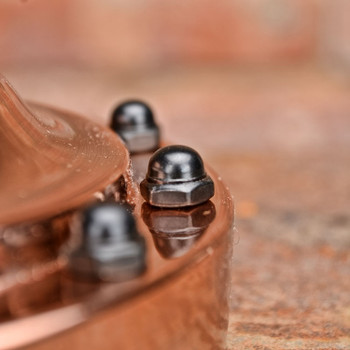 Black Cap Nut Black Cap Nut