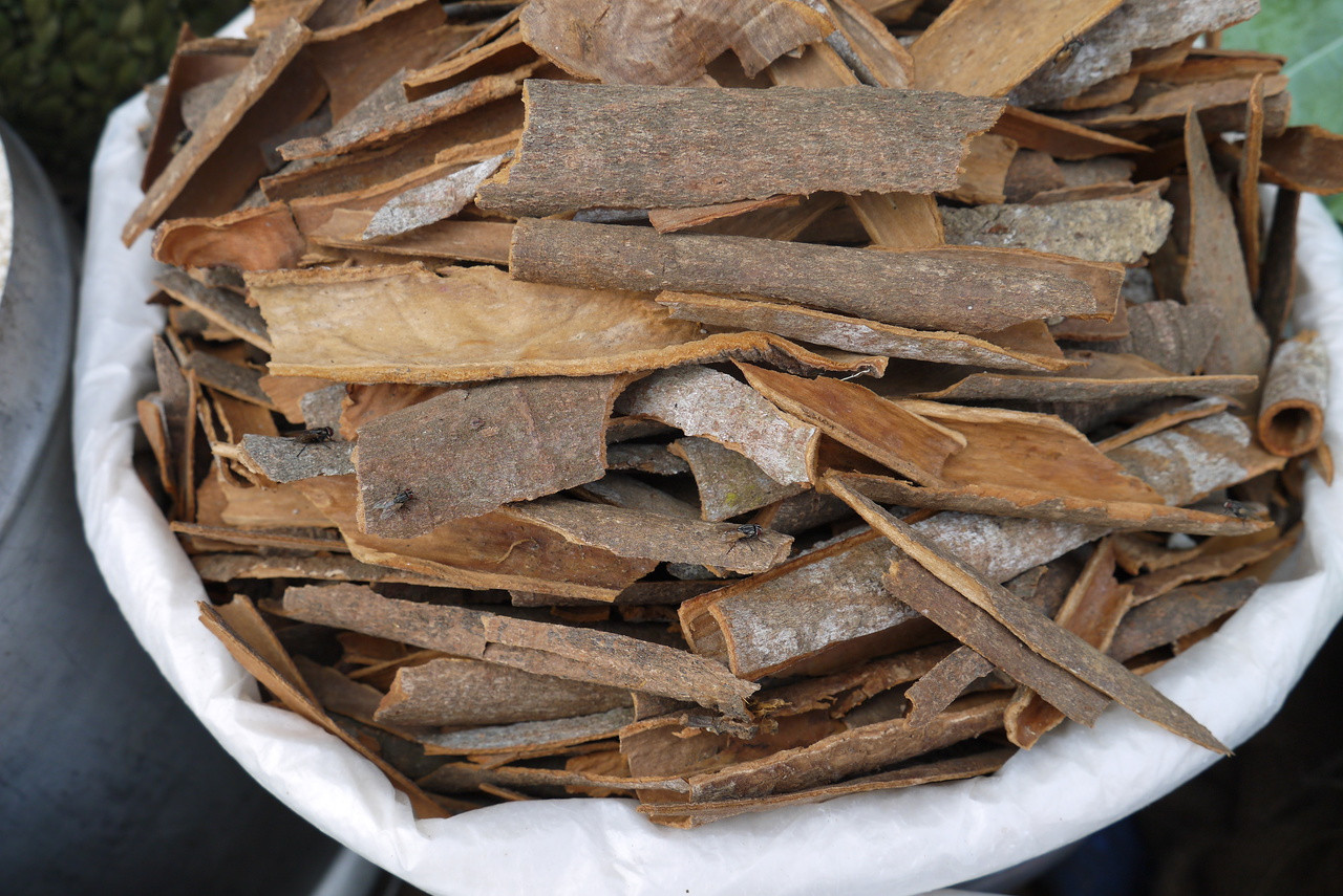 Cinnamon Bark Cinnamomum zeylanicum Grampa's Garden