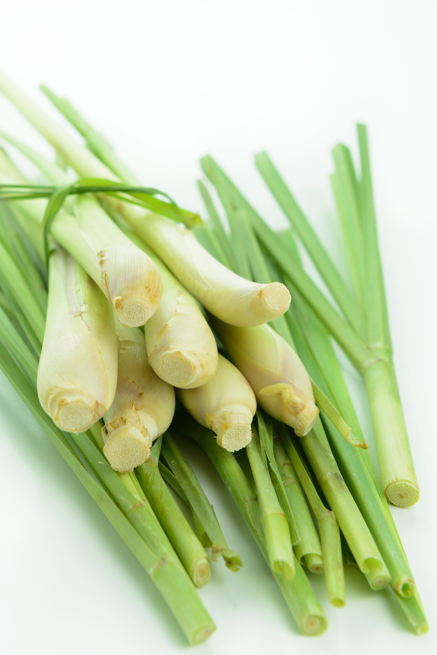 Lemongrass Spa Reviews Lemongrass Spa Reviews