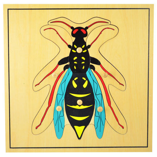 Wasp Puzzle