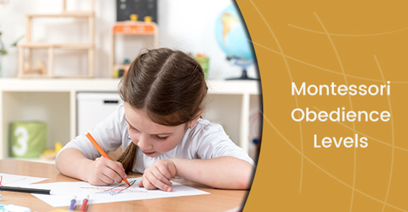 What Are The Montessori Levels Of Obedience?