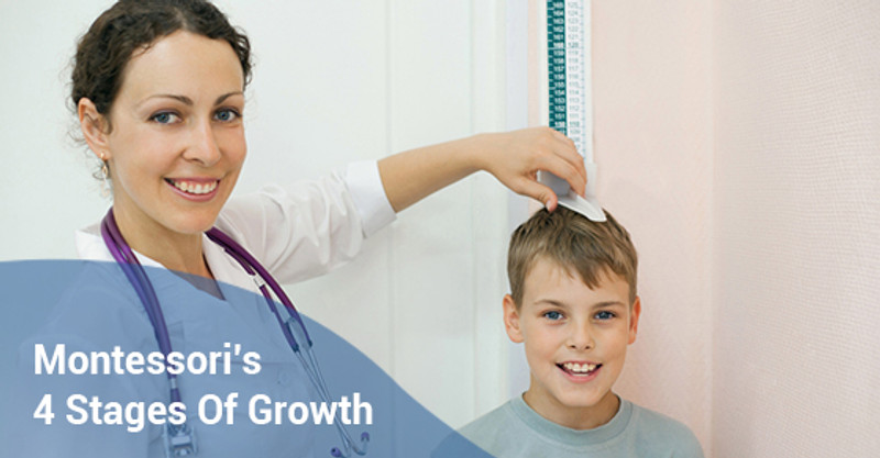 All About Montessori's 4 Stages Of Growth