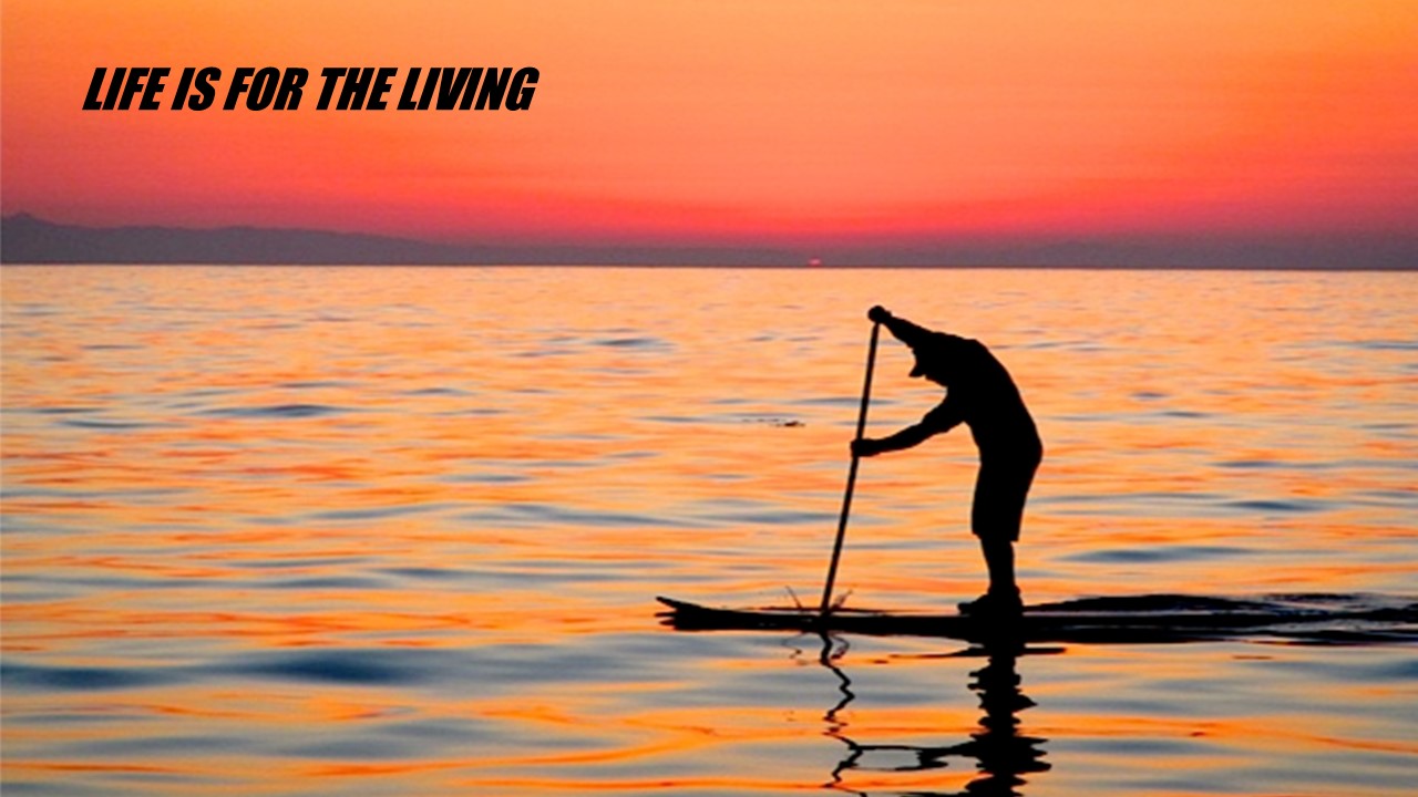 Man on SUP at sunset: life is for the living