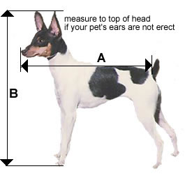measuring for a dog airline carrier