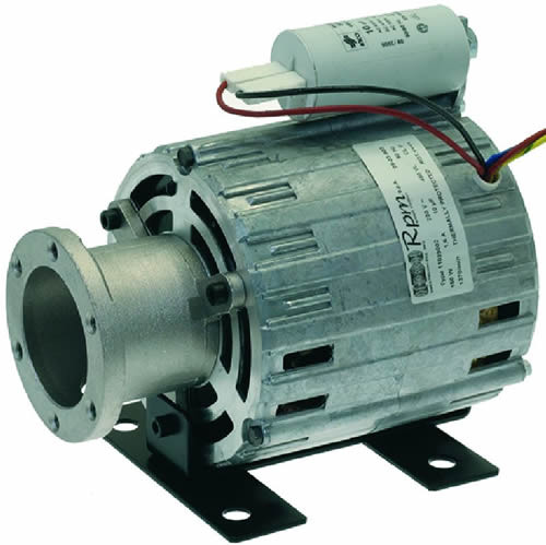 rotary pump