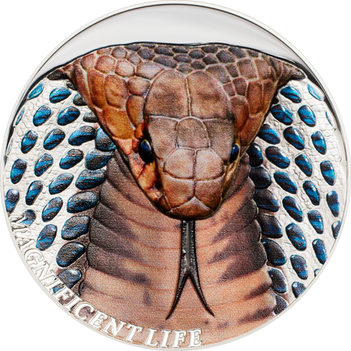 COBRA Snake Magnificent Life 1 Oz Silver Proof Coin 5$ Cook Islands 2017 COBRA Snake Magnificent Life 1 Oz Silver Proof Coin 5$ Cook Islands 2017