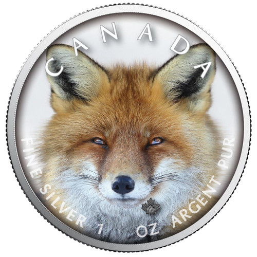 MAPLE LEAF - RED FOX Canada's Wildlife - 1 Oz Silver Coin 5$ 2019 MAPLE LEAF - RED FOX Canada's Wildlife - 1 Oz Silver Coin 5$ 2019