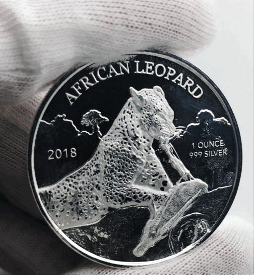 african-leopard.gif