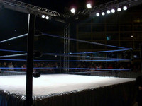 Pro Wrestling Ring 18' x 18' Complete Deluxe Package Pro Wrestling Ring 18' x 18' Complete Deluxe Package