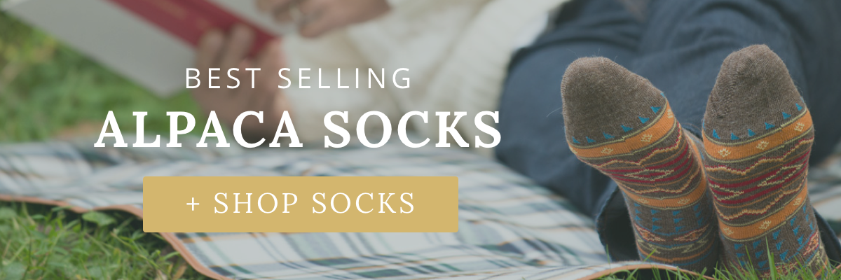 socks-banner-2x.png