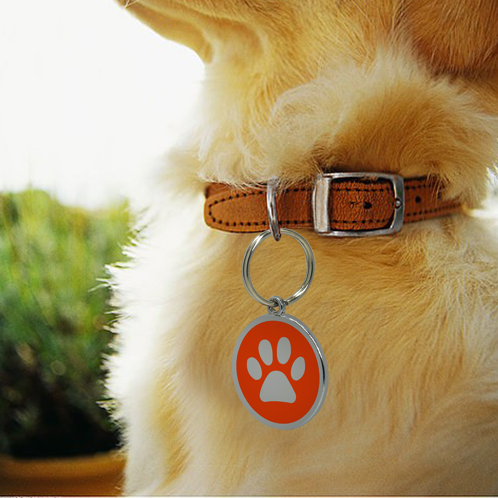 where to get dog id tags