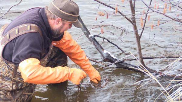 beaver-trapping-gloves