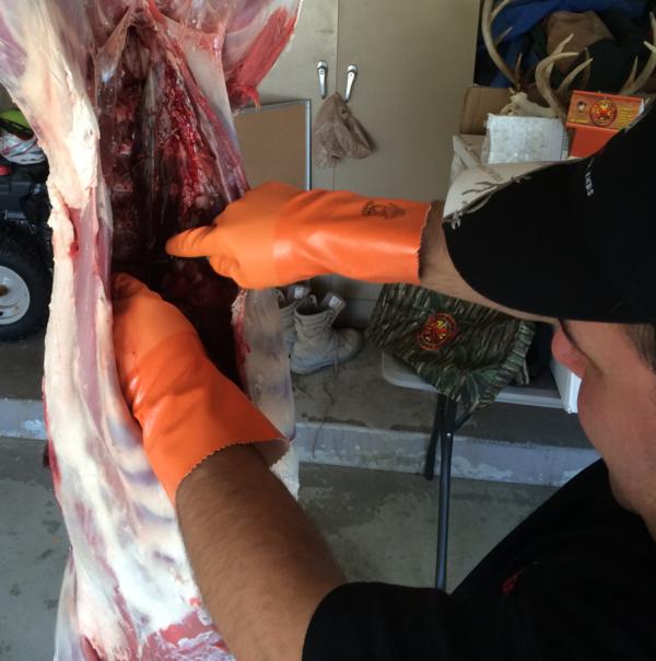 skinning-deer-gloves