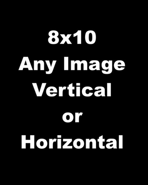 Custom Backdrop-8x10 Foot Softeez Material Custom Backdrop-8x10 Foot Softeez Material