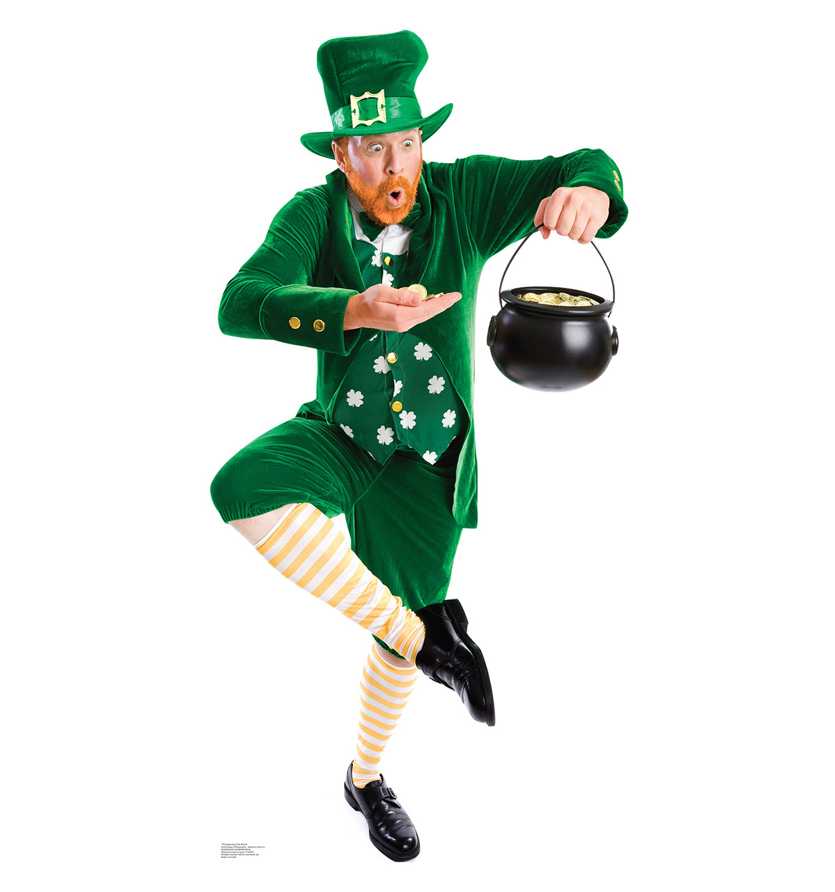 life size leprechaun pot of gold cardboard standup cardboard cutout