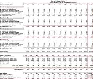 Enterprise SaaS Revenue Model/Plan