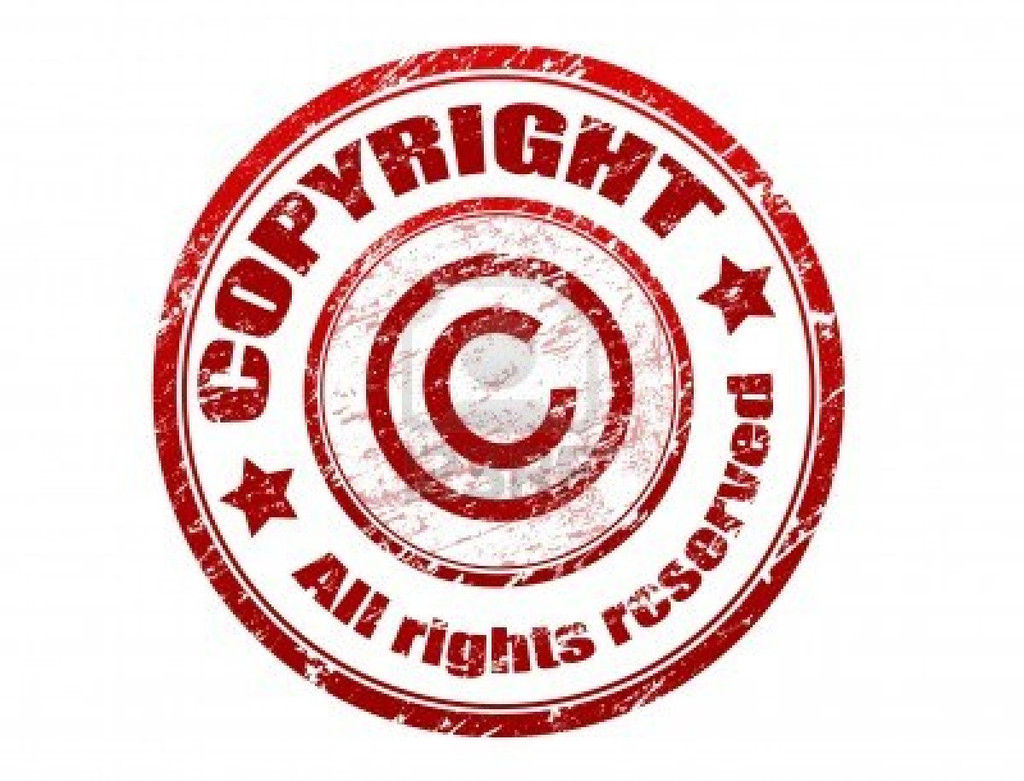 Sharon Schamber Consumer License Agreement