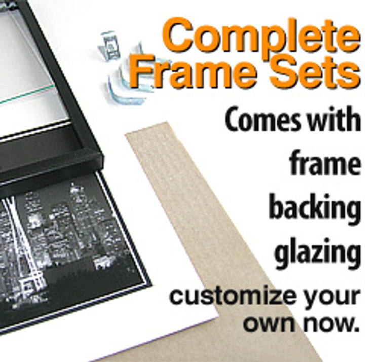 16 x 20 Frame Set (Frame, Standard Glass, Cardboard Back, Hardware)