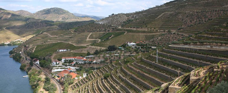 2015 Vintage Port Declaration