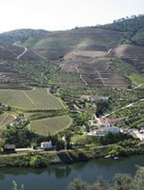 Port News April 2014 - Fladgate declared the following non classic vintage Ports - Taylor’s Quinta de Vargellas, Fonseca Guimaraens and Croft Quinta da Roêda