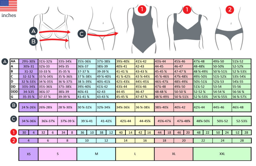 How to Measure Bra Size – Bra Size Calculator & Chart