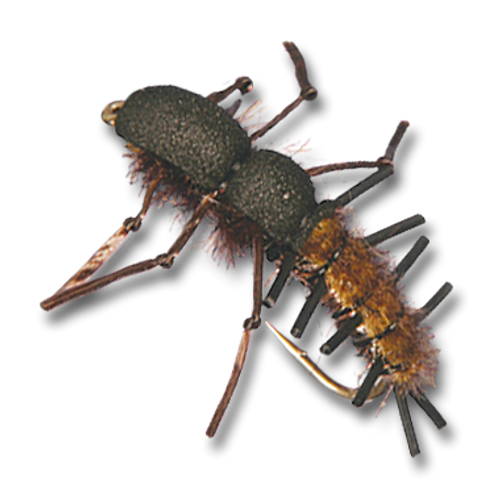 BH Helgrammite - #6