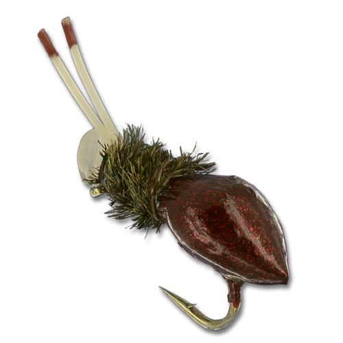 Alberto's Snail - #12