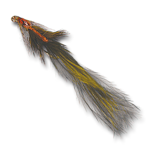 Zack's Damsel Leech