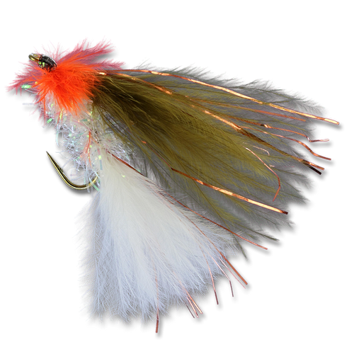 Zack's Pyramid Minnow - Tui Chub #6
