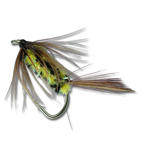 Brindle Bug - #8