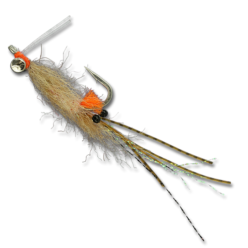 Enrico's Spawning Shrimp - Tan #4