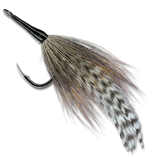 Cockroach