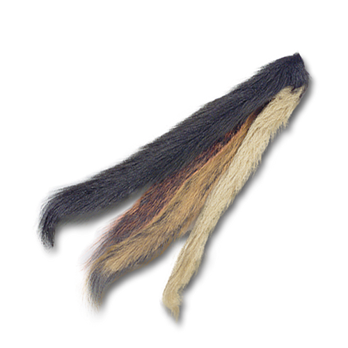 Squirrel Tails